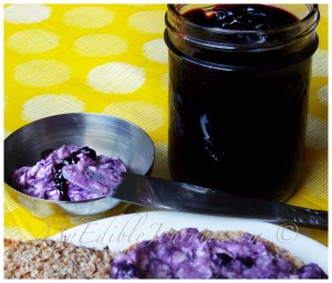 Micro Batch Blueberry Jam