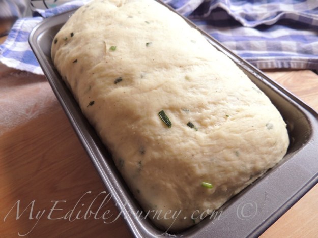 Risen Chive Bread Dough from My Edible Journey via Mama_B