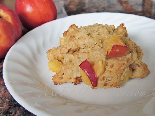 Nectarine Scone |My Edible Journey
