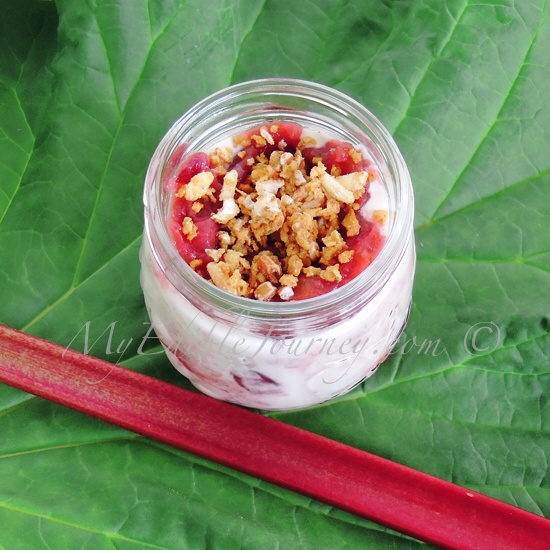 Granola Topped Rhubarb Fool | My Edible Journey