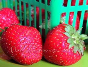 Strawberries | My Edible Journey