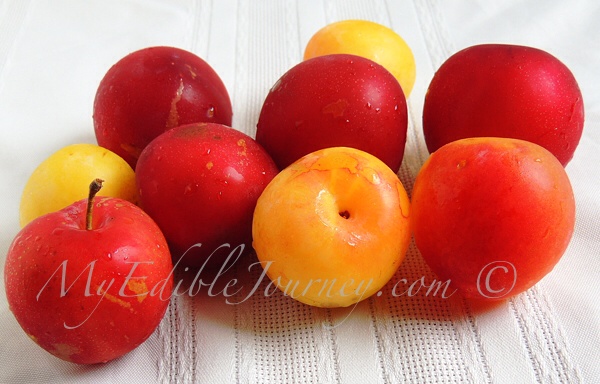 Plums | | My Edible Journey